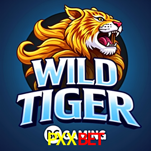 Estatísticas Esportivas PXXbet